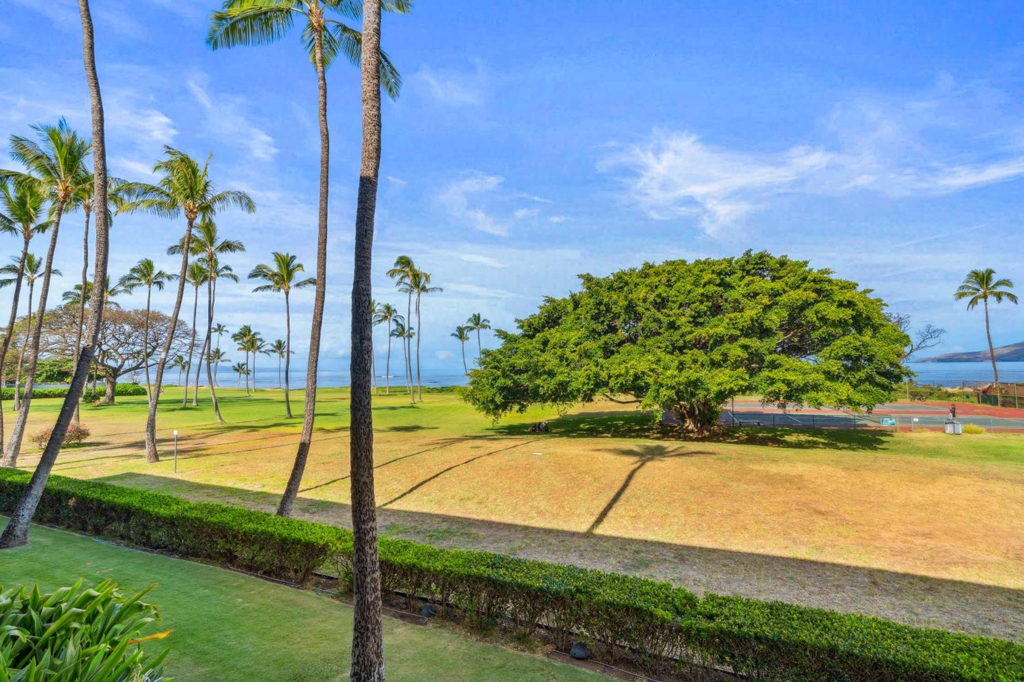 Maui Schooner Resort 키헤이 외부 사진