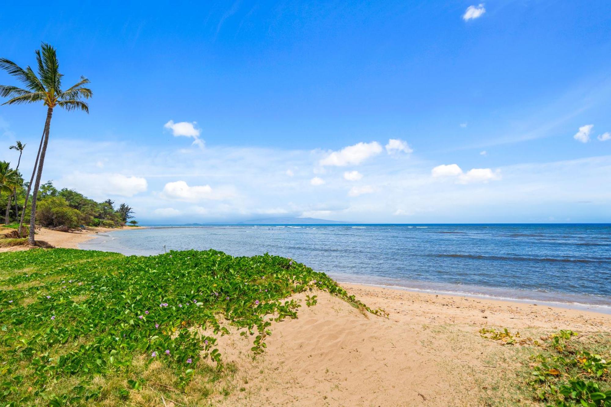 Maui Schooner Resort 키헤이 외부 사진