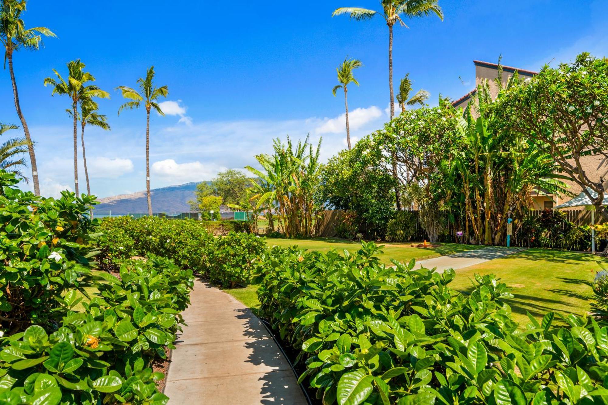 Maui Schooner Resort 키헤이 외부 사진
